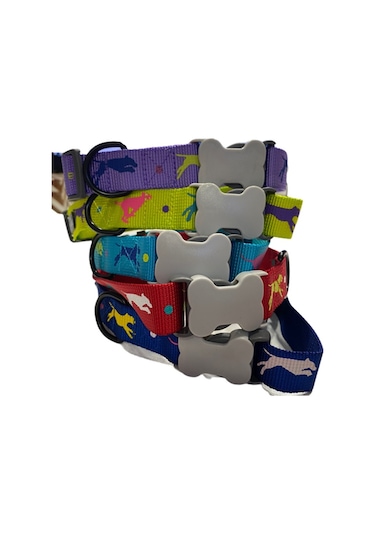 Leaping Dog Premium Boyun Tasması 2,5 Cm X 40-65 Cm Çok Renkli