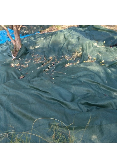 Morilu Zeytin Toplama Filesi Sergenlik Zeytin Yaygısı  Yüzde 75'lik Zeytin Filesi Toplama Örtüsü