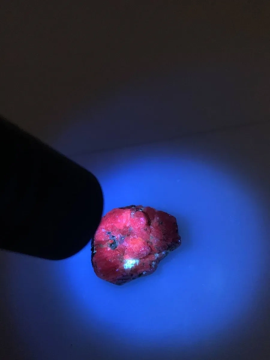 Camelıon Uv Ampul 26 W E27, 365 Nm 79708350