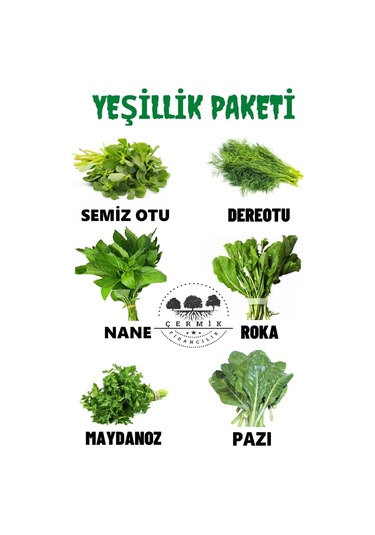 Tohum Paketi Semizotu , Dere Otu, Nane , Roka , Maydanoz , Pazı