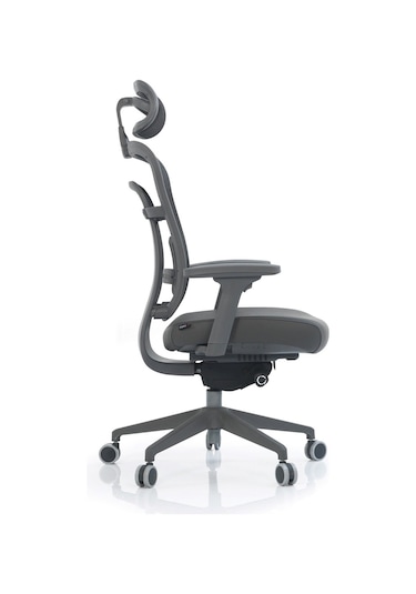 Passion Çalışma Oyuncu Ofis Yönetici Makam Koltuğu