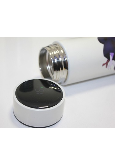 Anime Baskılı Dijital Göstergeli Termos 500 Ml Model 1 Diğer