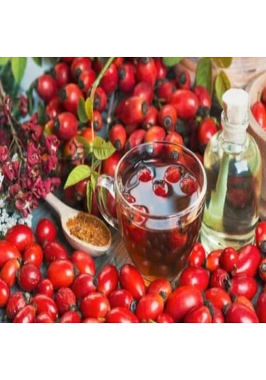 Tüplü Dikensiz Kuşburnu Çok Az Dikenli Fidanı