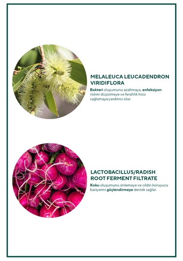 The Ceel Saf Nioli Suyu Kötü Koku Önleyici İmtim Bakım Toniği 100 Ml