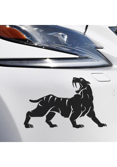 Araba Çıkartmaları, Tampon Koruyucuları Çok Renkli