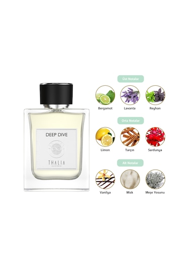 Thalia Timeless Paso Doble Erkek Parfüm EDP 100 ML