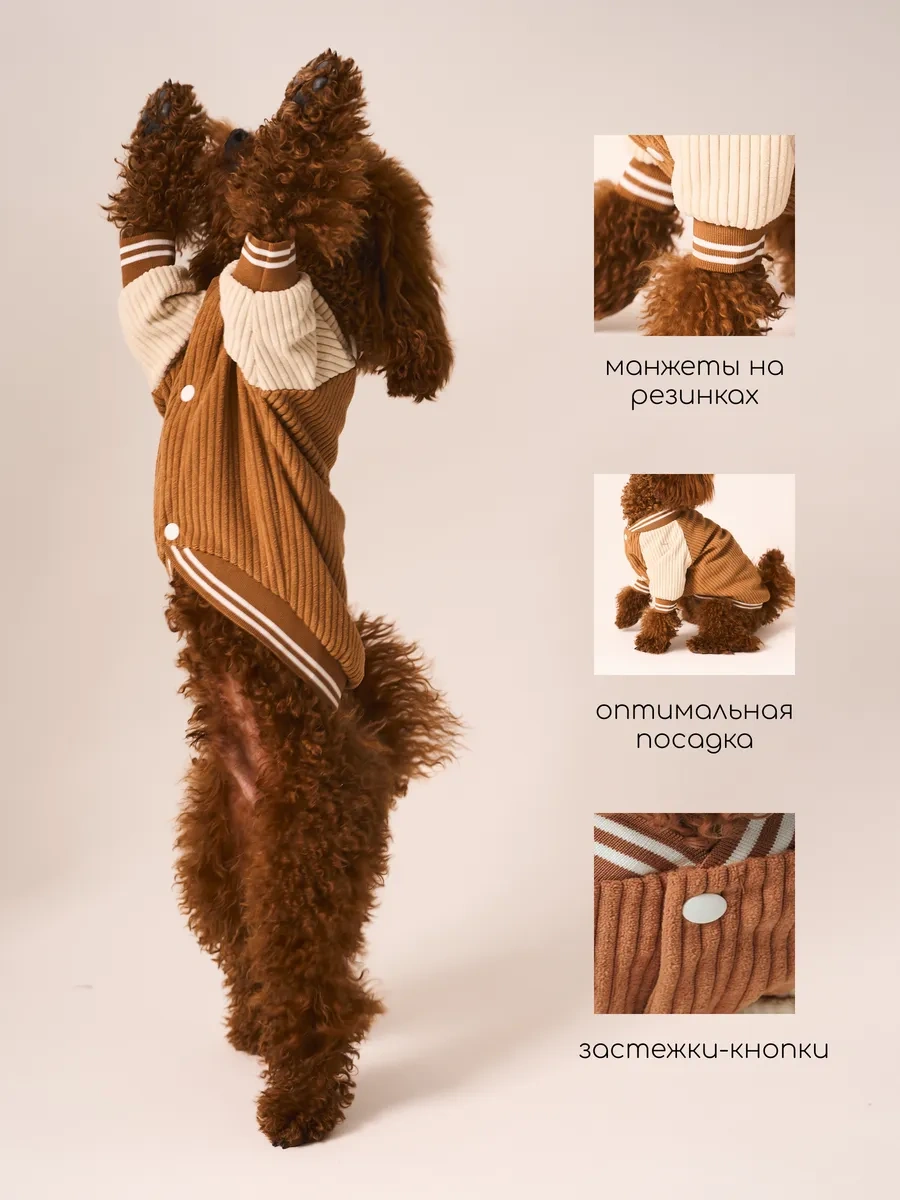 Petite Pets Küçük Irk Köpekler İçin Bomber Ceket 338568298