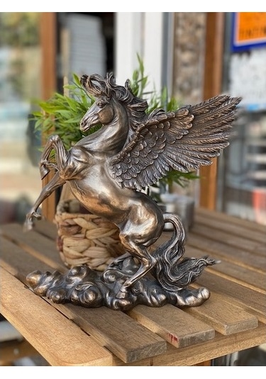 Pegasus Biblo
