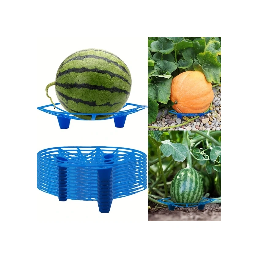Chuangyinshop Dayanıklı Mavi Plastik Karpuz Kabak Askısı Paslanmaz Meyve Destek Seti