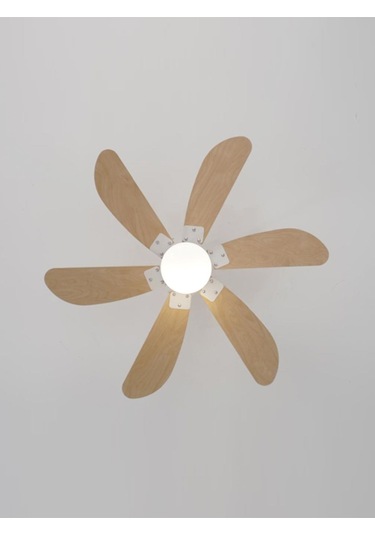 Woox İleri Geri Fonksiyonlu 6 Kanatlı Fan Ve Işıklı Uzaktan Kumandalı Tavan Vantilatörü, Kahverengi