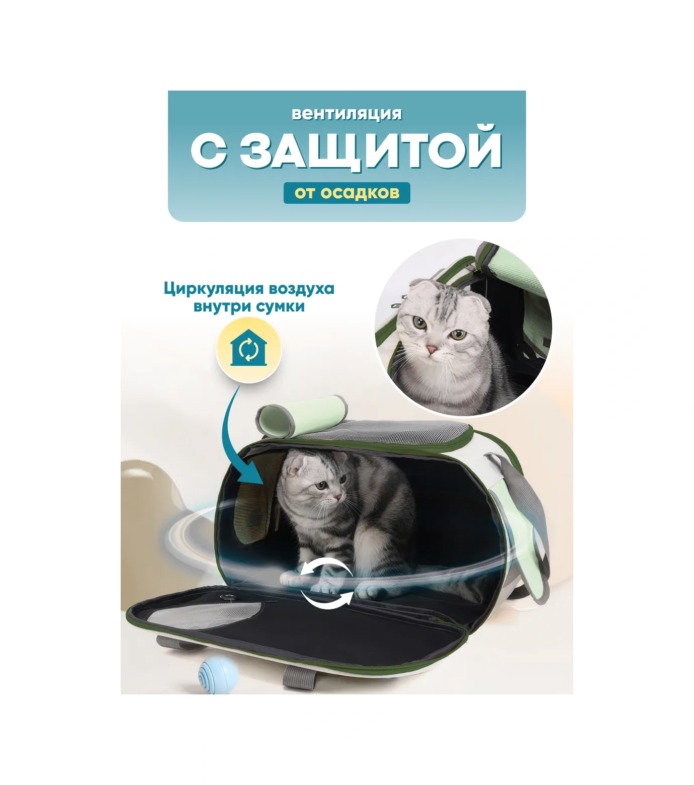 Komfort Pitomca Kedi Ve Küçük Irk Köpekler İçin Taşıma Çantası Hayvan Çantası 371157449