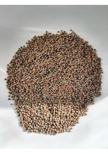 Mh Burçak Kuş Yemi 3 KG