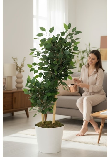 Yapay Ficus Benjamin Ağacı Dolgun Yeşil Yapraklı, Ev Ve Ofis Dekorasyonuna Uygun, Bambu Gövdeli Yeşil