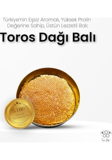 Toros Dağı Karakovan Balı 1400 G