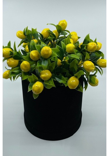 Kadife Silindir Kutuda Yapay Limon Ağacı Siyah-sarı
