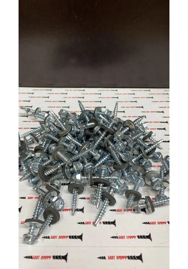 Stroj Tut Çatı Vidası 4,8x35 Galvanizli 100 Adet 355433559 Diğer