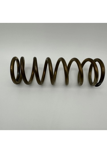 Transpalet Pompa Yayı Krom Paslanmaz