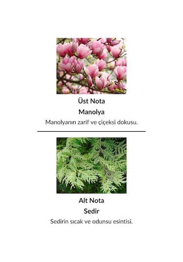 Alescia St-76 Kadın Parfüm EDP 50 ML