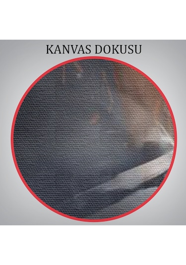 Ağlayan Ukraynalı Savaçcı Kadın Ve Sevgilisi Duvar Tablosu-6279 35 X 50