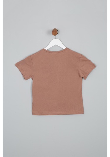 Luess Dinazor Baskılı Regular Fit Kısa Kollu Erkek Çocuk Tişört Kahverengi