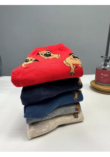 Homesocks Corgi Ayakkabıları 5 Çift Çorap Seti 227036463 Gri