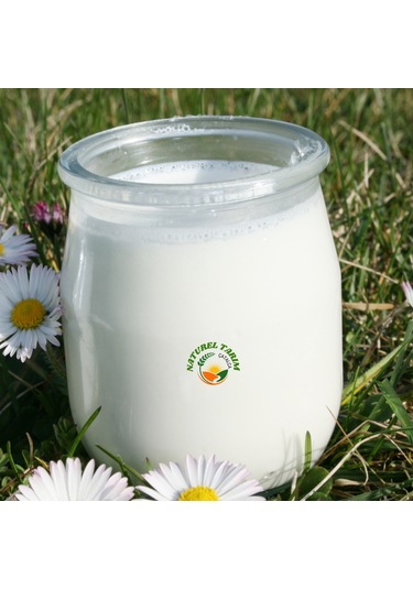 Naturel Manda Sütü Yoğurt Tam Yağlı 800 Gr