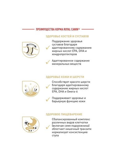 Royal Canın Royal Canin Pomeranian Adult Pate 12 Adet 85 Gr 134712136