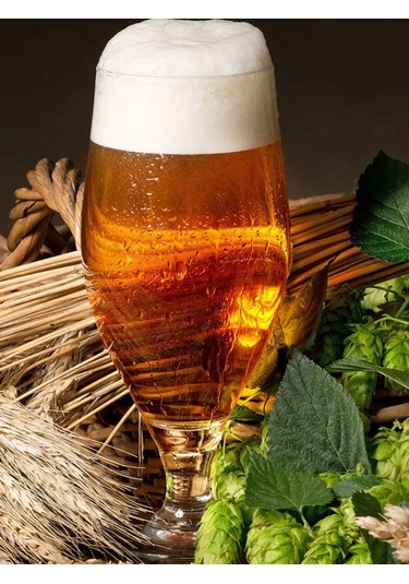 Purecrystal Bardak 2 Adet 620 Ml 182686717