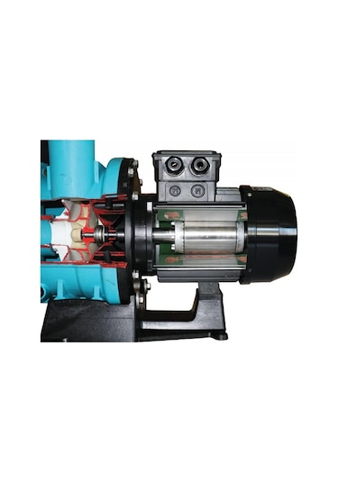 Gemaş Havuz Pompası Ön Filtreli- Strn-300M 3 Hp