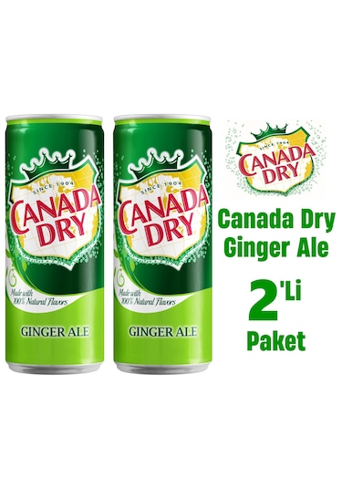 Canada Dry Ginger Ale 2 x 330 ML