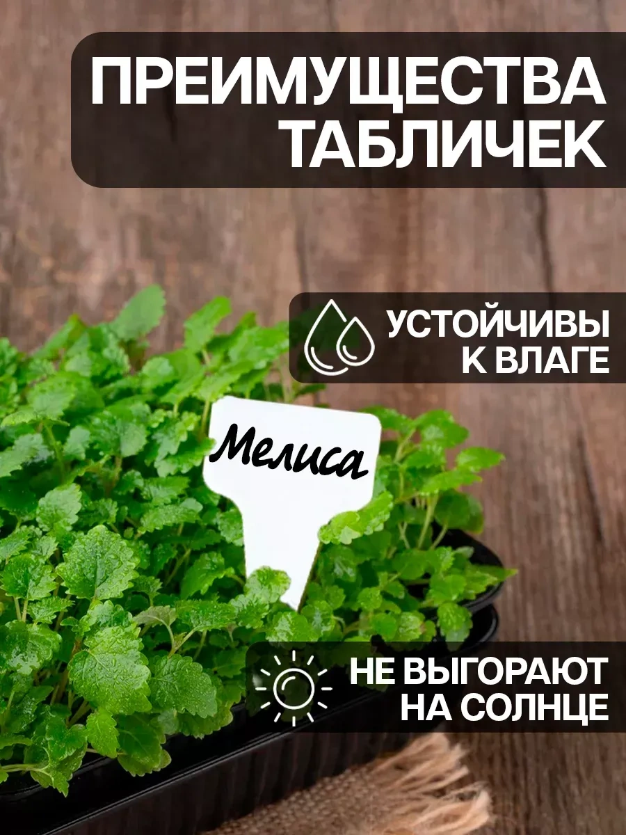 Domsadmarket Fide Ve Bitkiler İçin Bahçe Tabelaları 100 Ad 154102602