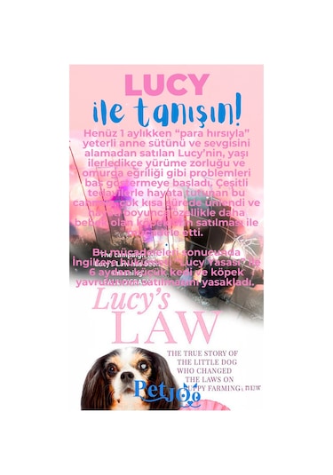Petjoo 11.Lucy Mavi-Pembe Qr'lı Köpek Künyesi