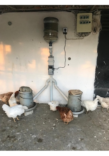 Otomatik Yemlik (Tavuk Güvercin Bıldırcın)