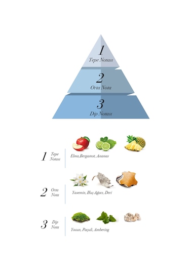 Prova Advantage Erkek Parfüm EDP 120 ML