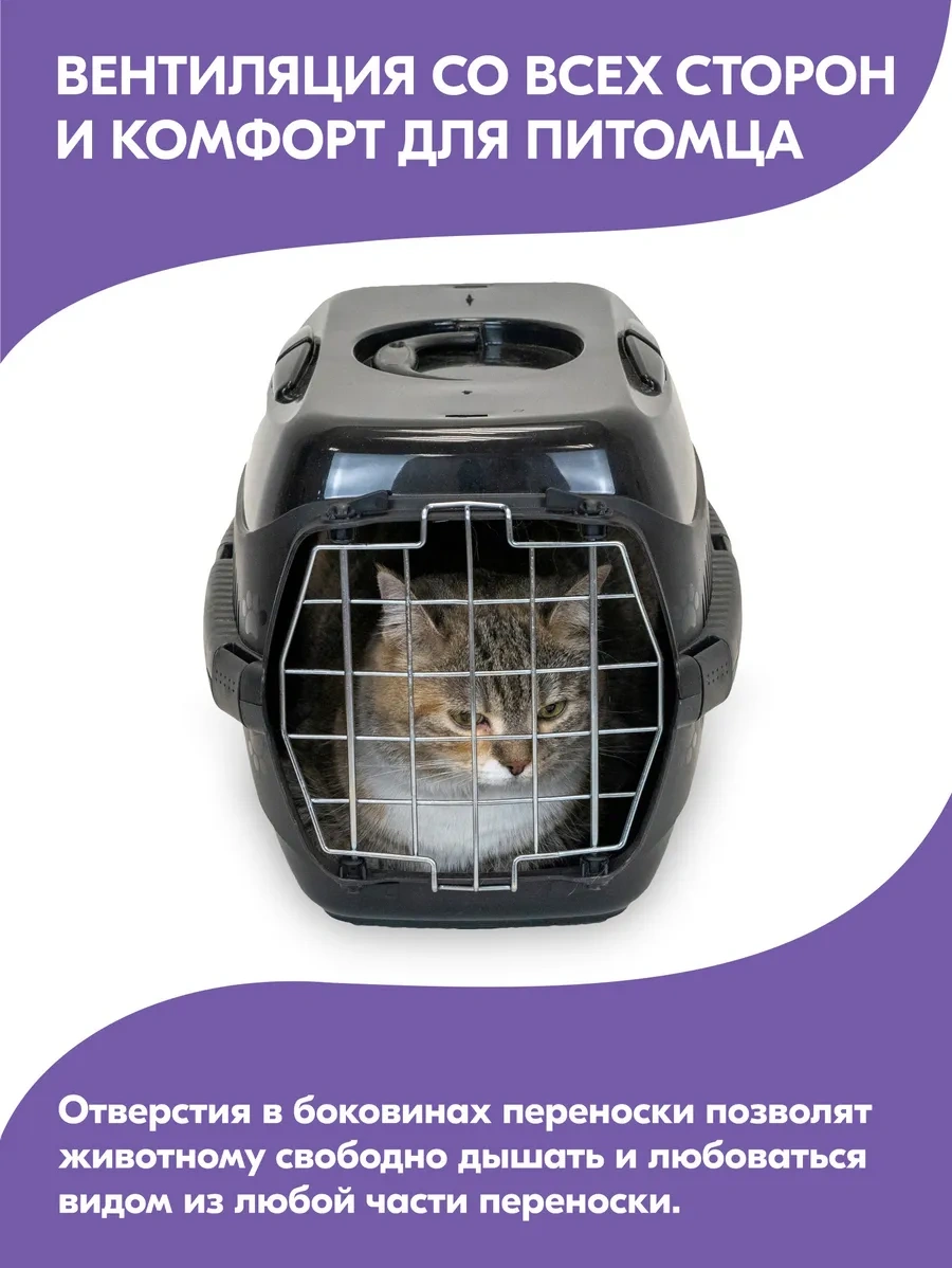 Pettails Plastik Kedi Taşıma Kabı, Evcil Hayvanlar İçin Metal Kapılı 27565280