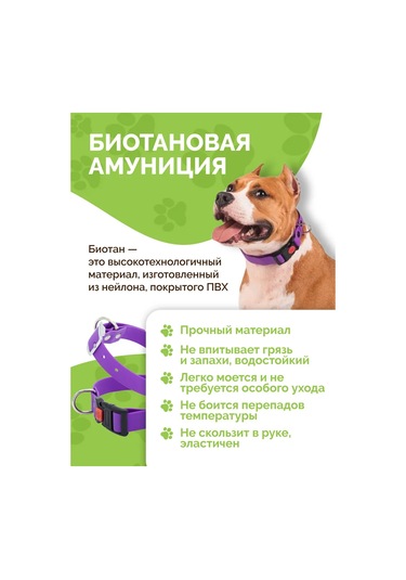 Ooo "firma Kaskad" Köpek Tasması 343182169 Violet