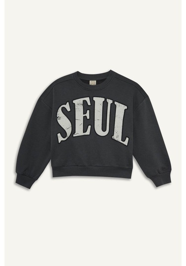 Defacto Antrasit Kız Çocuk Alt-üst Takım E6416a8/ar82 Antrasit