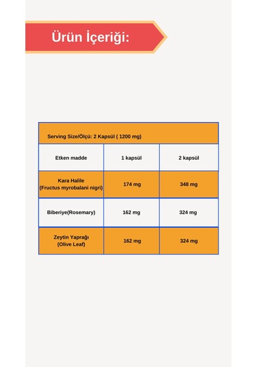 Afye Kbz 60 Kapsül 600 Mg Karahalile-Biberiye-Zeytin Yaprağı