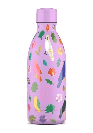 Cool Bottles Paslanmaz Çelik Suluk - The Kids Bottle Fly Free 500ml Çok Renkli