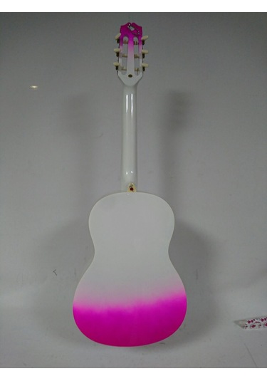 Valencia Grc1Kpub Klasik Gitar Gypsy Rose Set Gıgbag Strap St