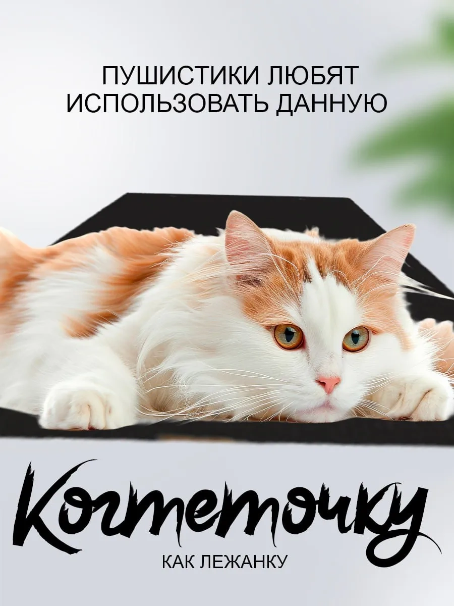 Dzessi Köpek Odunları İçin Köşe Duvara Monte Tırnak Törpüleme Yatağı 413608045