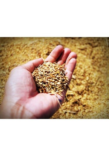 15.15.15 Npk Taban Süper Kompoze Gübresi (3x15) - 5 KG