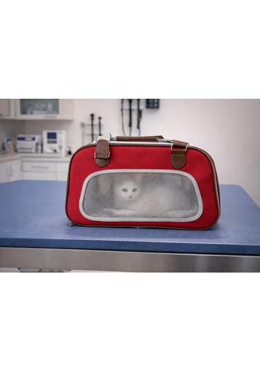 Şeffaf Pencereli Nefes Alabilir Kedi Taşıma Çantası Kırmızı