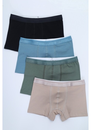 Toontoy Erkek Çocuk Tnty Yazı Baskılı 4lü Paket Boxer Çok Renkli