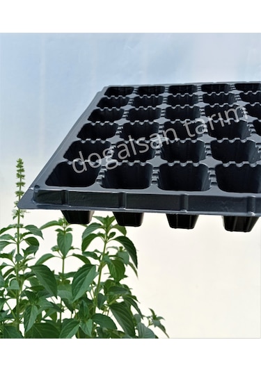 40 Adet Fide Viyol 72 Göz Fide Viyolü Fide Viyolleri Fidelik