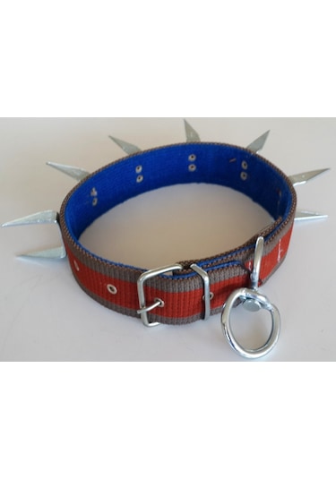 Le-Sar Kolon Battal U Çivili Tasma 5 CM 70 CM (Ls-803) Çok Renkli