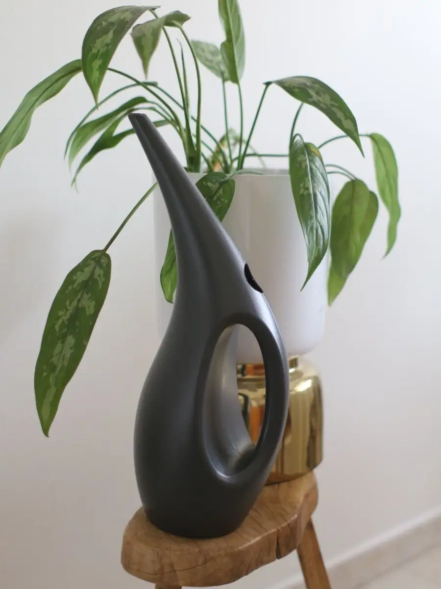 Zeytin Home İç Mekan Çiçekleri İçin Sulama Kasesi 75979410