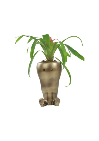 Saksı Çiçek Kaktüs Saksısı Lüx 13,5 Cm Gümüş Eskitme Varak Boyalı Havuç Desen Saksı Çiçeklik - Altın Eskitme