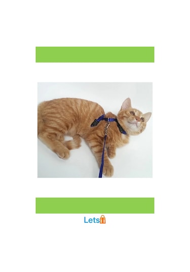 Ayarlanabilir Kedi Boyun Ve Göğüs Tasması Rahat Ve Güvenli