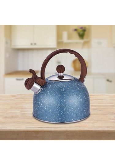 Homyl Islık Çalan Çaydanlık Ocak Malzemeleri Mutfak Mavi Diğer